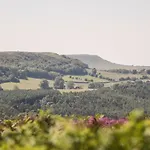 The Cart House